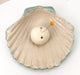 Ceramic - Handmade Pearly Shell Dish and Pincushion - Blue